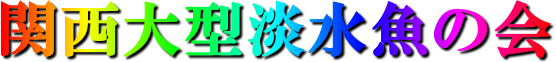 ֐^W̉